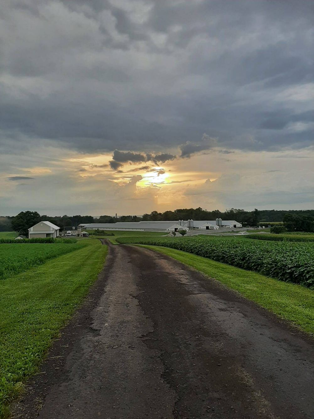 The lane