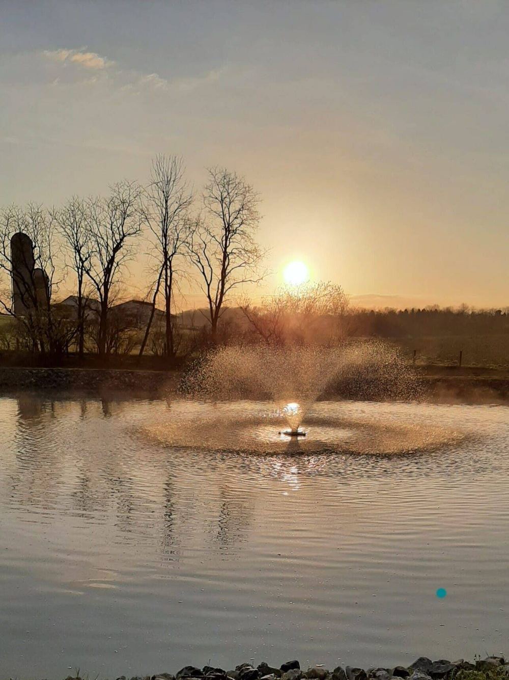 Sunset over the pond